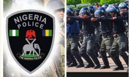 Abba Kyari: PSC Suspends Two IRT Officers
