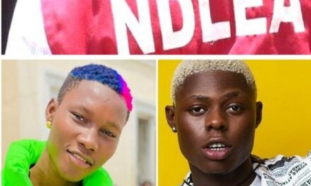 Why We Arrested Singers Zinoleesky And Mohbad — NDLEA