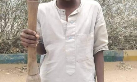 Teenager kills housewife with pestle in Kano, steals her phones(Photos)