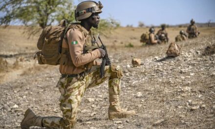 Nigerian Soldier Kills Private Diko, His Colleague, In Borno State: