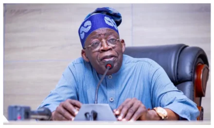 ‘Coalition of confusion’ Tinubu mocks ADC